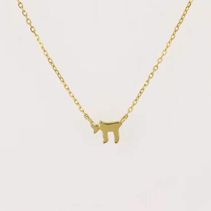 Wholesale Judaica